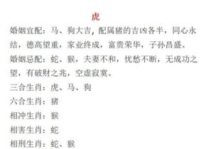 八字看配偶属相表